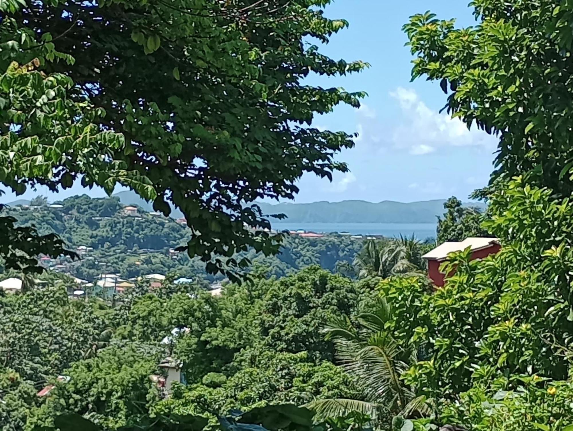 Garifuna Retreat Apartment Kingstown Extérieur photo