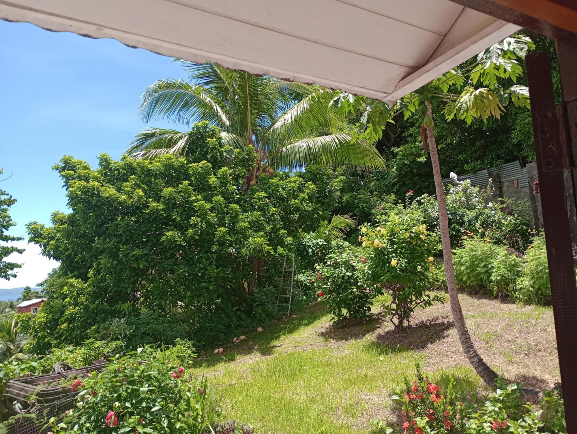 Garifuna Retreat Apartment Kingstown Extérieur photo